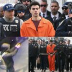 Луиджи Маджони – новый Робин Гуд?